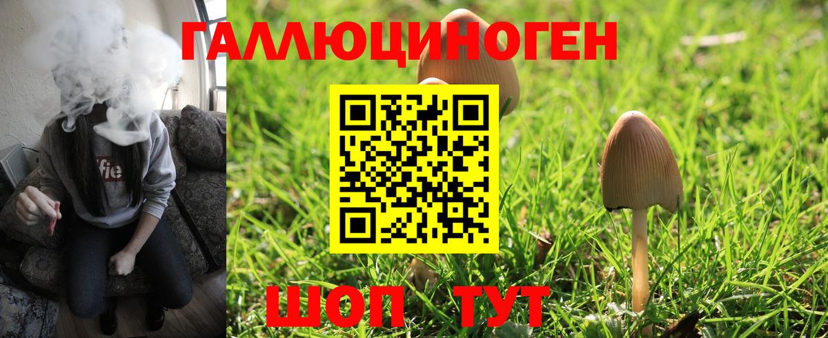 Галлюциногенные грибы Cubensis Карасук
